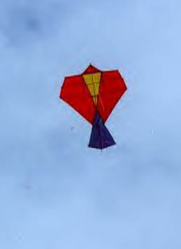yukio akaiayma cerf volant drachen kite