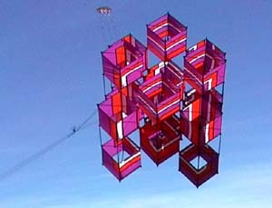 michael alvares cerf volant kite drachen