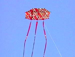 michael alvares cerf volant kite drachen