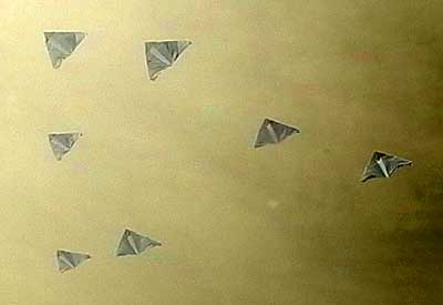 avant garde drachen cerf volant kite