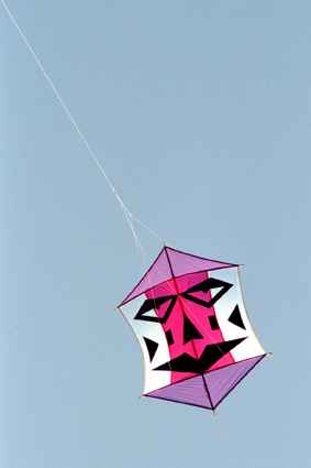 Michel Colin cerf volant kite drachen
