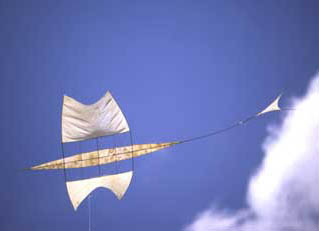philippe contenceau cerf volant drachen kite