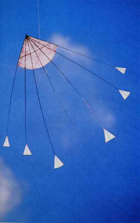 philippe contenceau cerf volant drachen kite