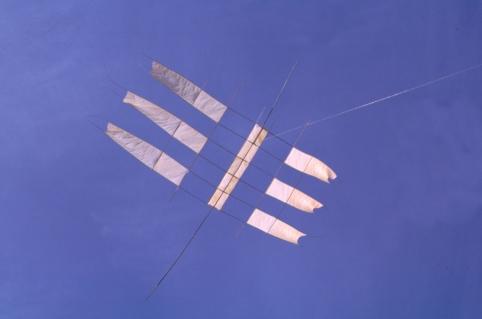 philippe contenceau cerf volant drachen kite