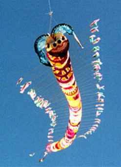 dancing frog kite cerf volant drachen