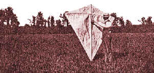 william eddy cerf volant kite drachen