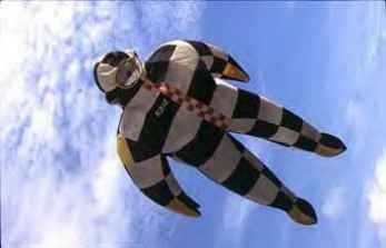 pierre fabre cerf volant drachen kite