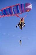 pierre fabre cerf volant drachen kite