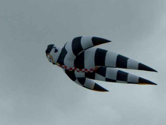 pierre fabre cerf volant drachen kite