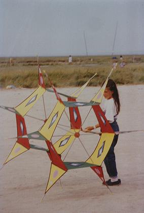 marcel fourez cerf volant kite drachen