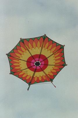 marcel fourez cerf volant kite drachen
