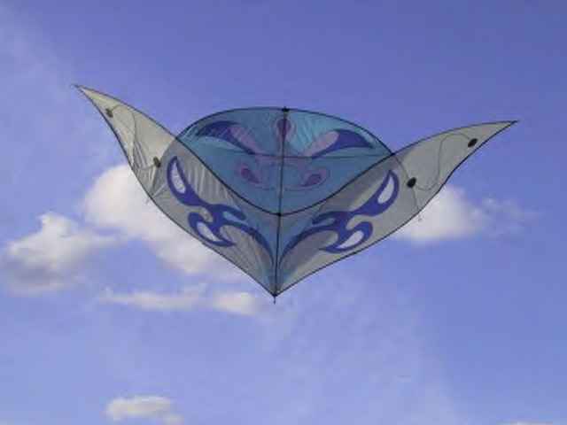 giovanni lami cerf volant aquilone drachen kite