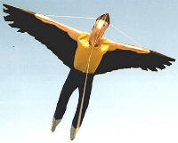 martin lester cerf volant kite drachen