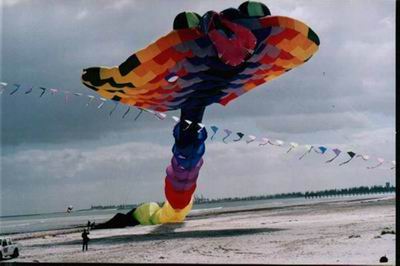 Peter Lynn cerf volant drachen kite