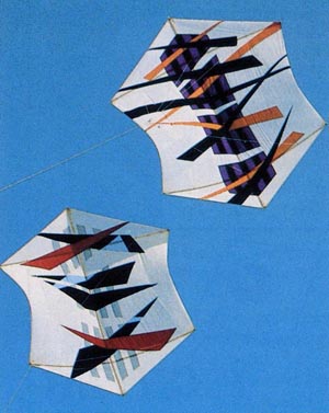 jorgen moller hansen cerf volant kite drachen