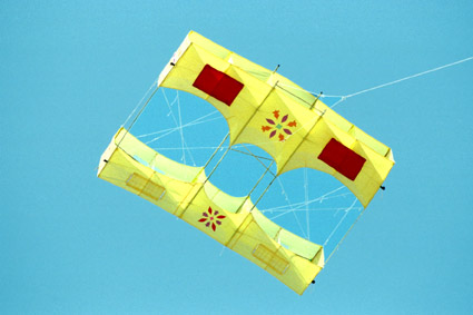 gerard roseblatt cerf volant kite drachen