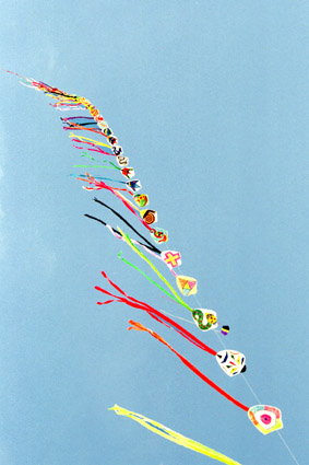 gerard roseblatt cerf volant kite drachen