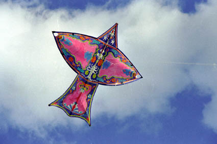 gerard roseblatt cerf volant kite drachen