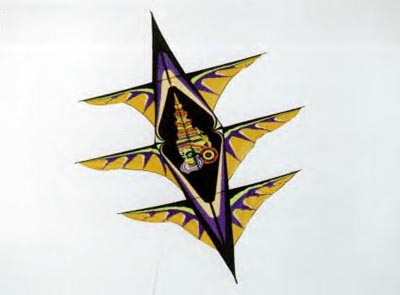 jose sainz cerf volant kite drachen