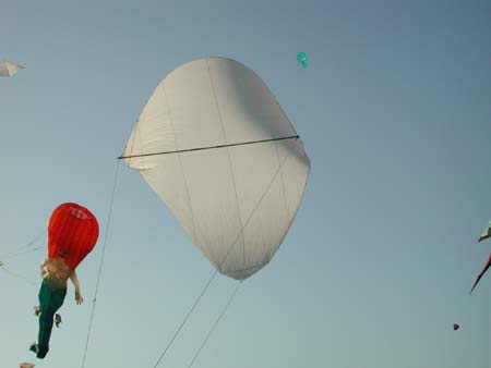 marthe jean marie simonnet cerf volant drachen kite
