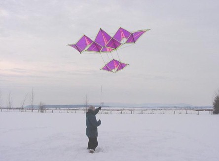 bobby stanfield cerf volant kite drachen