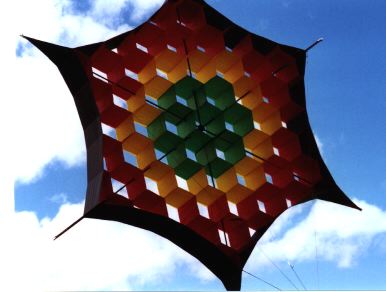 dale vanderhoof cerf volant kite drachen