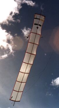 dale vanderhoof cerf volant kite drachen