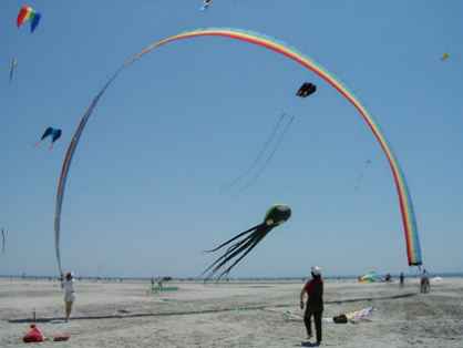 arche cerf volant