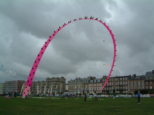 arche cerf volant